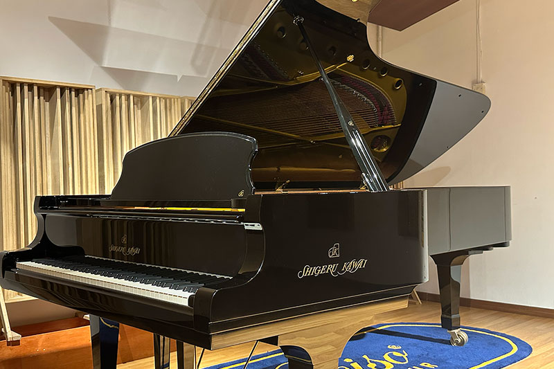 deciso fine violins's concert space