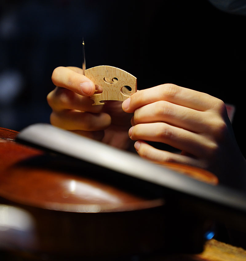 violin-maintenance-malaysia-7